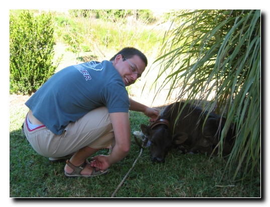 024 Nachbars Haustier